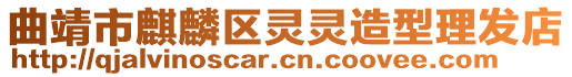 曲靖市麒麟?yún)^(qū)靈靈造型理發(fā)店