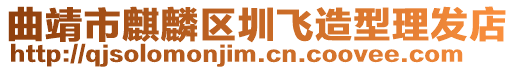 曲靖市麒麟區圳飛造型理發店