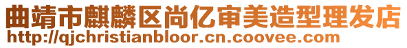 曲靖市麒麟?yún)^(qū)尚億審美造型理發(fā)店