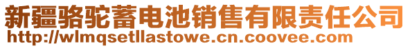 新疆駱駝蓄電池銷售有限責(zé)任公司