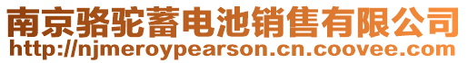 南京駱駝蓄電池銷售有限公司