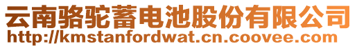 云南駱駝蓄電池股份有限公司