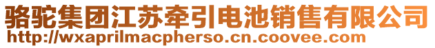 駱駝集團江蘇牽引電池銷售有限公司