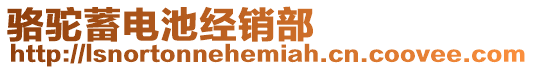 駱駝蓄電池經(jīng)銷部