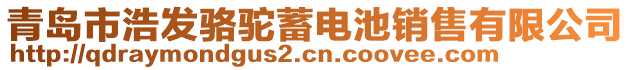 青島市浩發(fā)駱駝蓄電池銷售有限公司