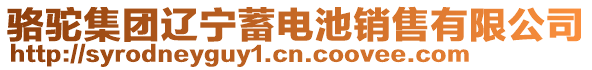 駱駝集團遼寧蓄電池銷售有限公司