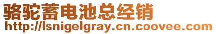 駱駝蓄電池總經(jīng)銷
