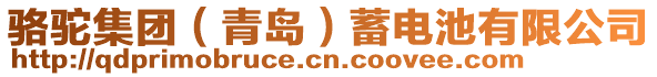 駱駝集團(tuán)(青島)蓄電池有限公司