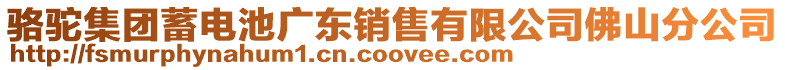駱駝集團蓄電池廣東銷售有限公司佛山分公司
