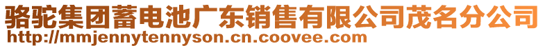 駱駝集團蓄電池廣東銷售有限公司茂名分公司