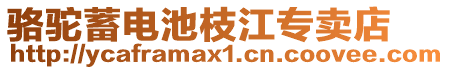 駱駝蓄電池枝江專賣店
