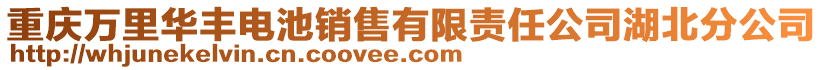 重慶萬里華豐電池銷售有限責任公司湖北分公司