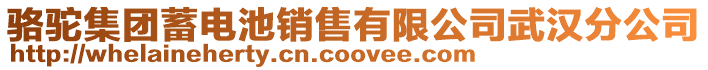 駱駝集團(tuán)蓄電池銷售有限公司武漢分公司
