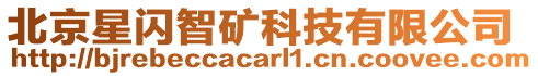 北京星閃智礦科技有限公司