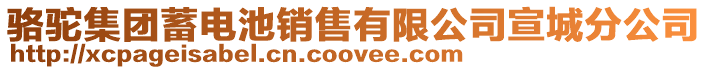駱駝集團(tuán)蓄電池銷(xiāo)售有限公司宣城分公司