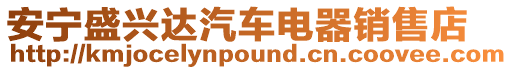 安寧盛興達汽車電器銷售店