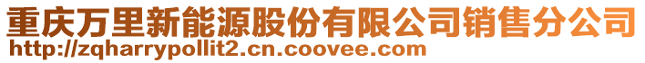 重慶萬里新能源股份有限公司銷售分公司