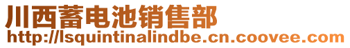 川西蓄電池銷售部