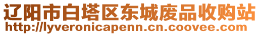 遼陽市白塔區(qū)東城廢品收購站