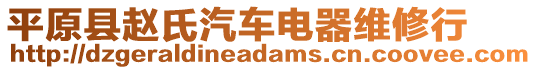 平原縣趙氏汽車電器維修行