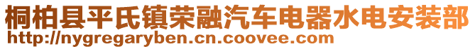 桐柏縣平氏鎮(zhèn)榮融汽車電器水電安裝部