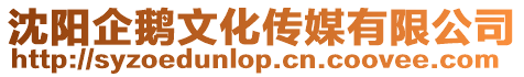 沈陽企鵝文化傳媒有限公司