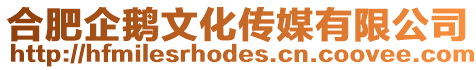 合肥企鵝文化傳媒有限公司