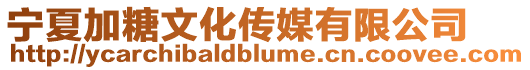 寧夏加糖文化傳媒有限公司
