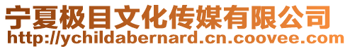 寧夏極目文化傳媒有限公司