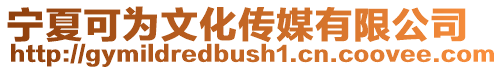 寧夏可為文化傳媒有限公司
