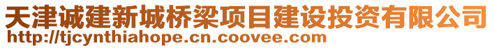 天津誠建新城橋梁項目建設(shè)投資有限公司