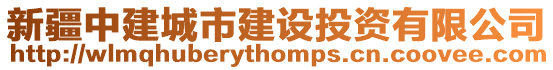 新疆中建城市建設(shè)投資有限公司