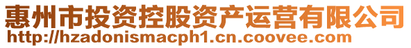 惠州市投資控股資產(chǎn)運營有限公司