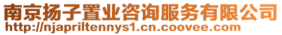 南京揚子置業(yè)咨詢服務(wù)有限公司