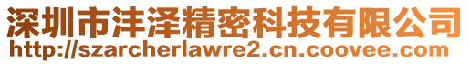 深圳市灃澤精密科技有限公司