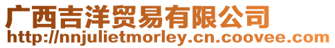 廣西吉洋貿易有限公司