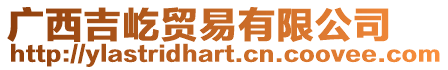 廣西吉屹貿(mào)易有限公司