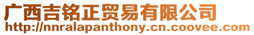 廣西吉銘正貿易有限公司