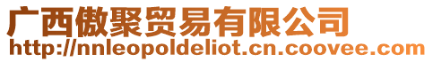 廣西傲聚貿易有限公司
