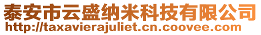泰安市云盛納米科技有限公司