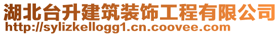 湖北臺升建筑裝飾工程有限公司