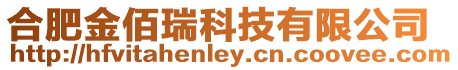 合肥金佰瑞科技有限公司