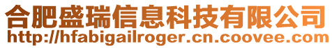 合肥盛瑞信息科技有限公司
