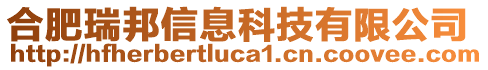 合肥瑞邦信息科技有限公司