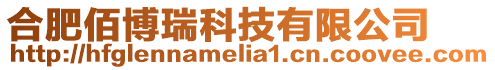 合肥佰博瑞科技有限公司