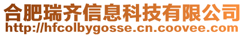合肥瑞齊信息科技有限公司