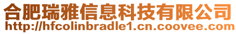 合肥瑞雅信息科技有限公司
