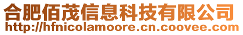 合肥佰茂信息科技有限公司