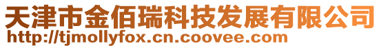 天津市金佰瑞科技發展有限公司