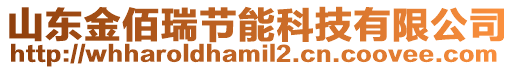 山東金佰瑞節能科技有限公司